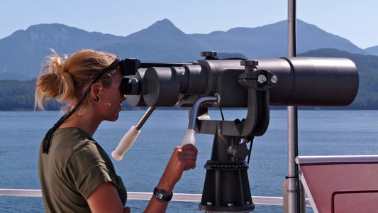 From Marine Biology to Meaningful Design
